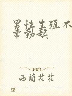 男性生殖不能正常勃起