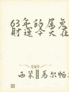 63年的属兔人财运今天在哪方