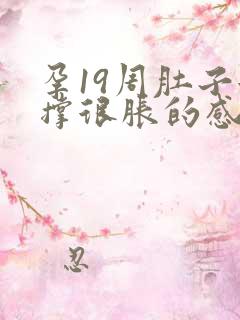 孕19周肚子很撑很胀的感觉