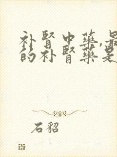 补肾中药,最好的补肾药是什么??