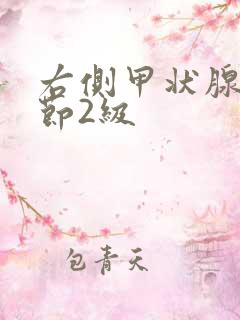 右侧甲状腺小结节2级