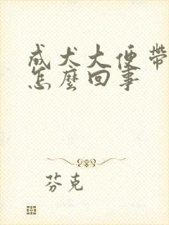 成犬大便带血是怎么回事