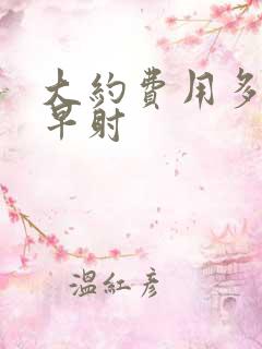 大约费用多少治早射