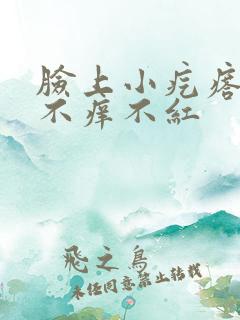 脸上小疙瘩不痛不痒不红