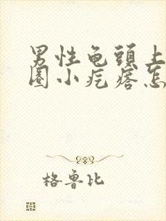 男性龟头上有一圈小疙瘩怎么回事