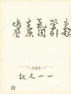 鸡支气管炎是什么原因引起的