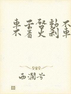 车子启动不了打不着火刹车踩不下去