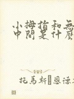 小拇指和无名指中间是什么经络