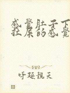 感觉肚子下坠想拉屎的感觉怎么回事