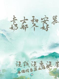 卡士和安慕希酸奶哪个好