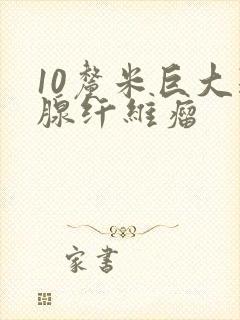 10厘米巨大乳腺纤维瘤