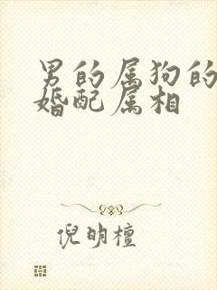 男的属狗的最佳婚配属相