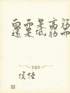 白面是高筋面粉还是低筋面粉