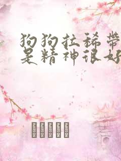 狗狗拉稀带血但是精神很好怎么办