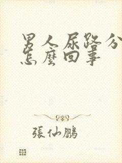 男人尿路分叉是怎么回事