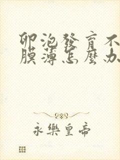 卵泡发育不好内膜薄怎么办