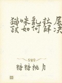 猫咪乱拉屎拉尿该如何解决