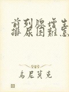 前列腺增生导致排尿困难怎么办