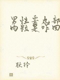 男性睾丸部位起肉粒是咋回事