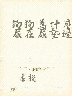 狗狗为什么老是尿在尿垫边缘