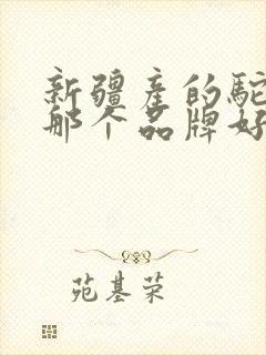 新疆产的驼奶粉那个品牌好