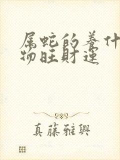 属蛇的养什么植物旺财运