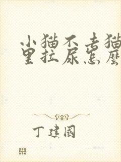 小猫不去猫砂盆里拉尿怎么办