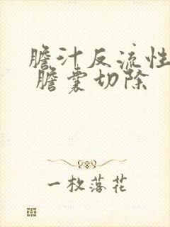 胆汁反流性胃炎 胆囊切除