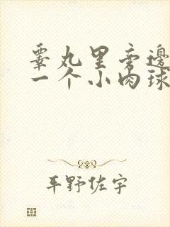 睾丸里旁边长了一个小肉球硬硬的