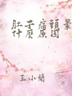 肚子痛头晕想吐什么原因