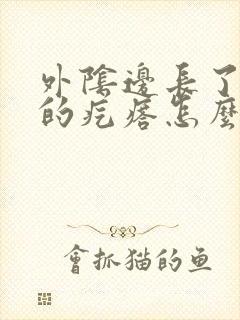 外阴边长了硬硬的疙瘩怎么回事