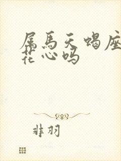 属马天蝎座男生花心吗