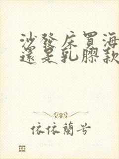 沙发床买海绵款还是乳胶款好