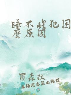 睡不醒犯困是什么原因