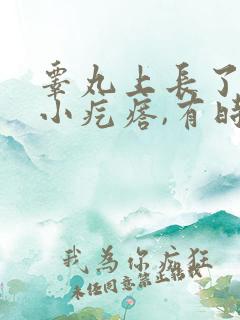 睾丸上长了很多小疙瘩,有时还很痒