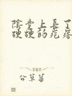 阴囊上长了一个硬硬的疙瘩