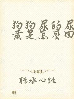 狗狗尿的尿特别黄是怎么回事