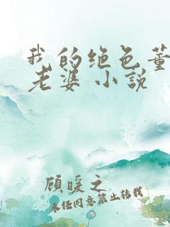 我的绝色董事长老婆 小说