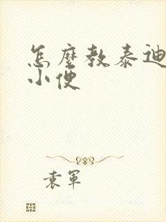 怎么教泰迪狗大小便