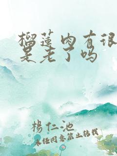 榴莲肉有很多丝是老了吗