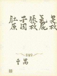 肚子胀气是什么原因放屁放不出