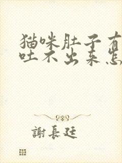 猫咪肚子有毛球吐不出来怎么办