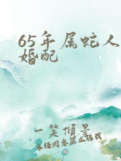 65年属蛇人的婚配