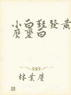 小白鞋发黄了怎么变白