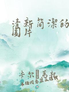 清新简洁的背景图片