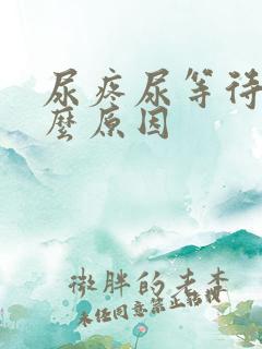 尿疼尿等待是什么原因