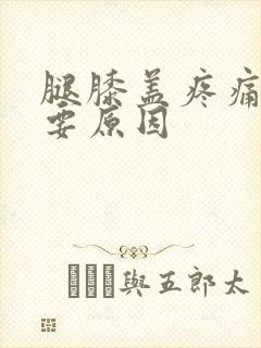 腿膝盖疼痛的主要原因