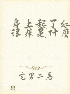 身上起了红疹子很痒是什么原因