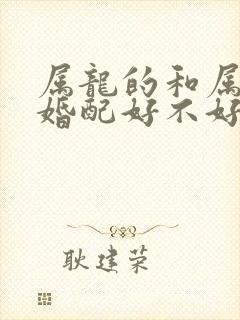 属龙的和属兔的婚配好不好