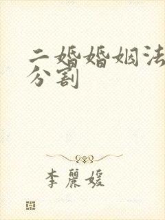 二婚婚姻法财产分割